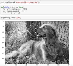【Python】OpenCVを使ったヒストグラム – calcHist(), equalizeHist()